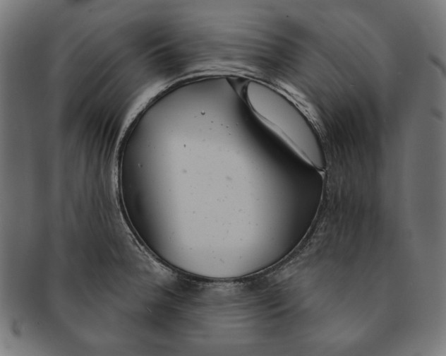 X0000091191188200709061007