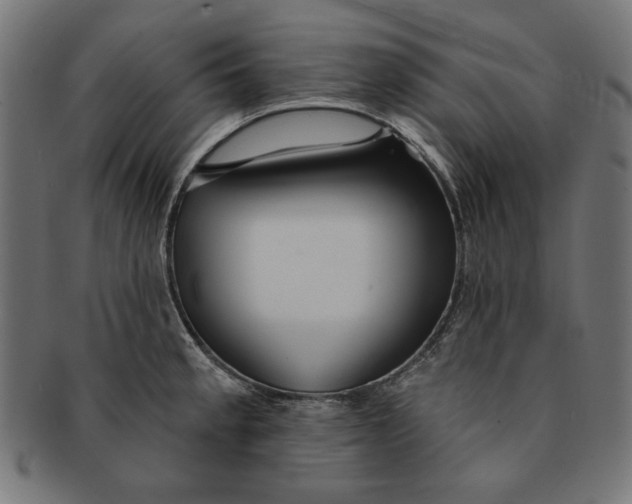 X0000091191189200709061007