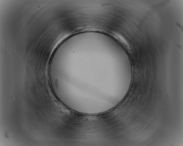 X0000091191190200709061007