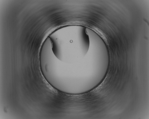 X0000091191192200709061007