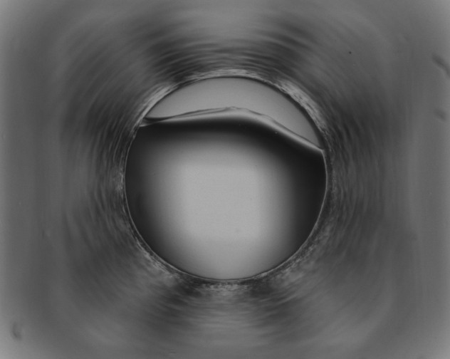 X0000091191193200709061007