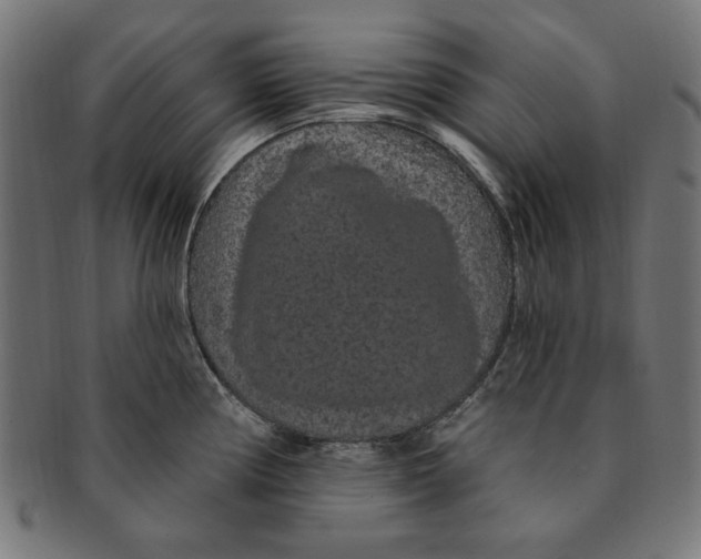 X0000091191194200709061007