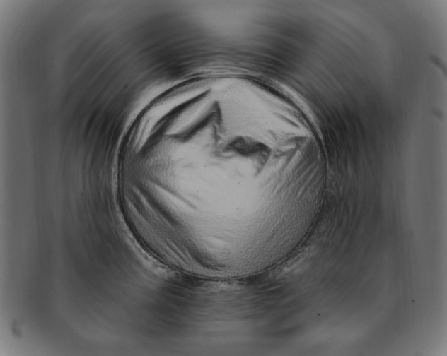 X0000091191195200709061007