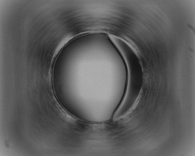 X0000091191196200709061007