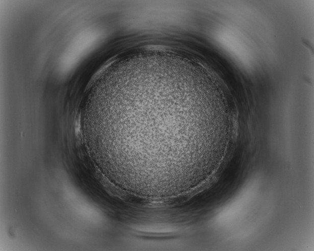 X0000091191198200709061007