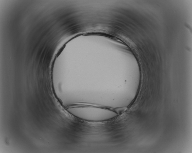 X0000091191200200709061007