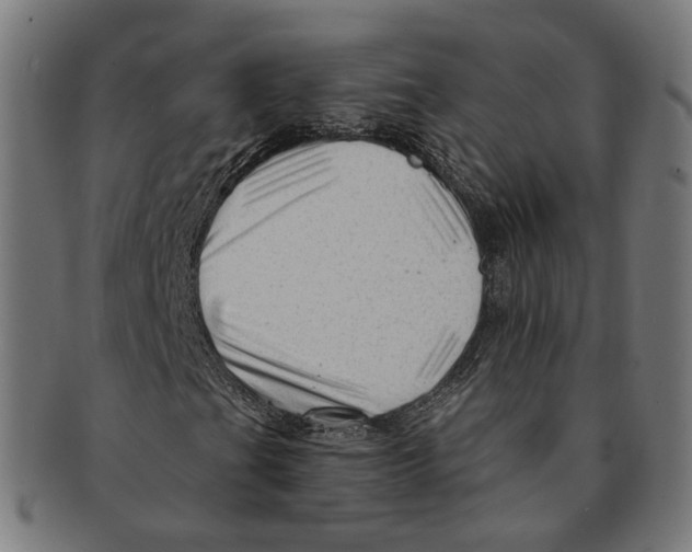 X0000091191201200709061006