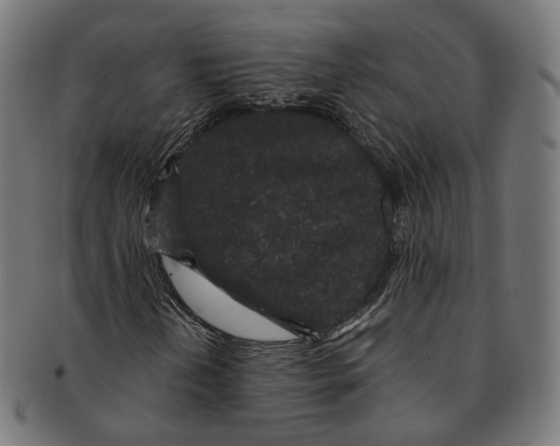 X0000091191202200709061006