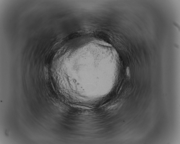 X0000091191203200709061006