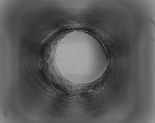 X0000091191205200709061006