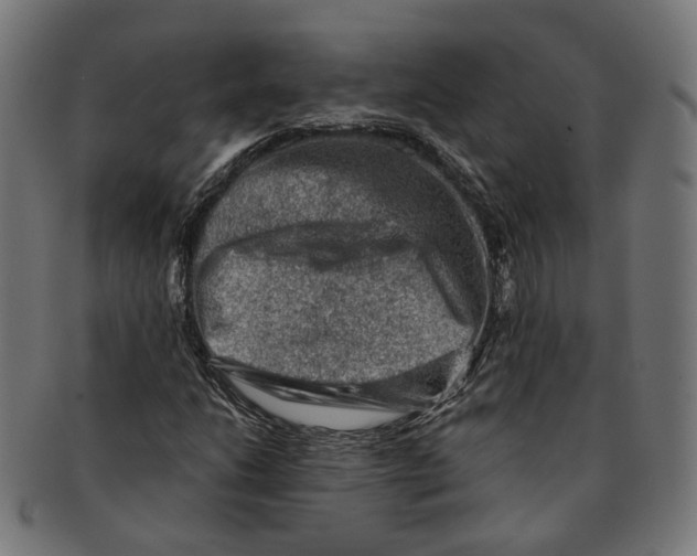 X0000091191206200709061006