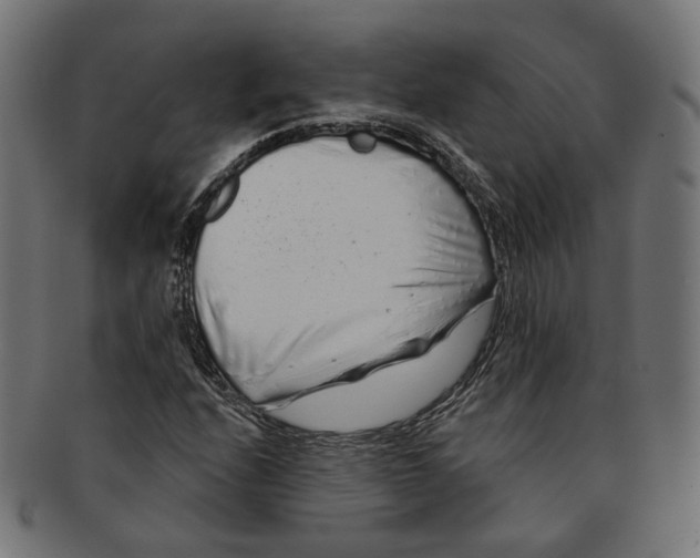 X0000091191208200709061007