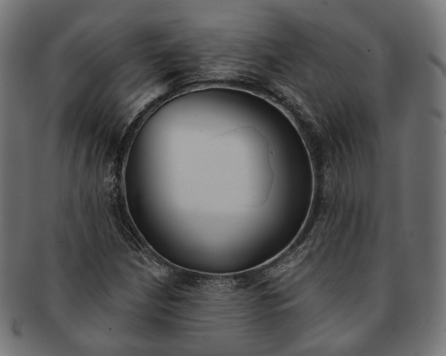 X0000091191210200709061007