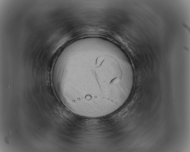 X0000091191211200709061007