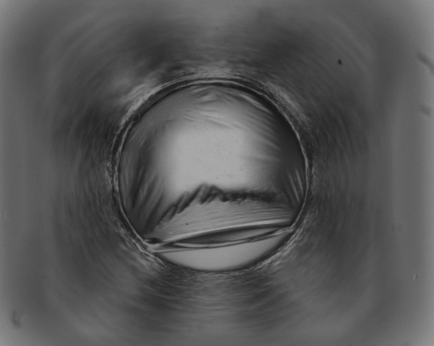 X0000091191212200709061007