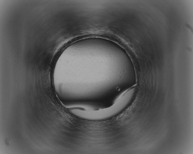 X0000091191214200709061007