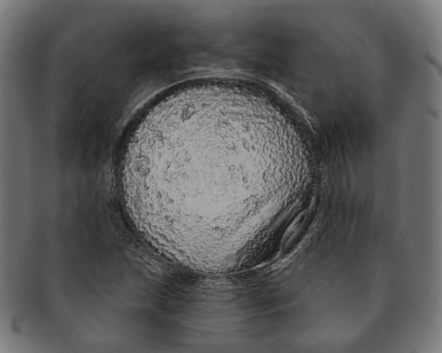 X0000091191215200709061007