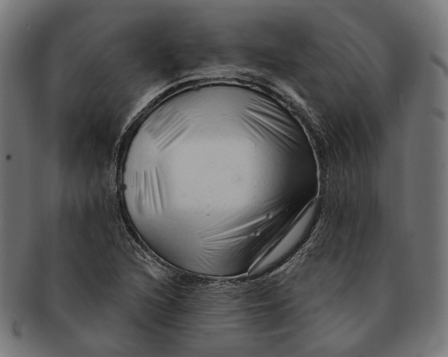 X0000091191216200709061007