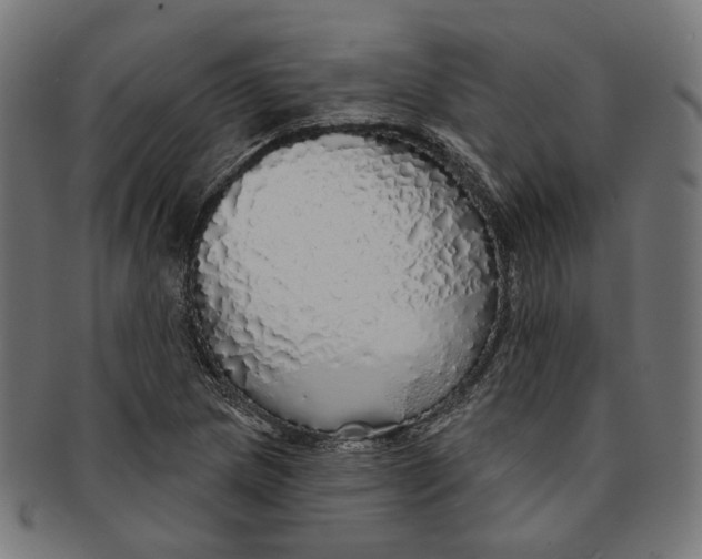 X0000091191217200709061007