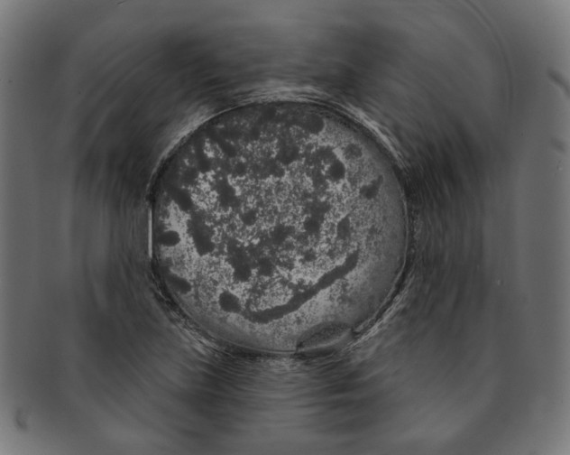 X0000091191219200709061007