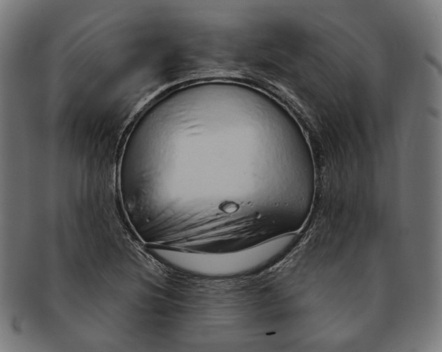 X0000091191220200709061007