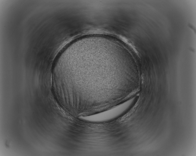 X0000091191221200709061007