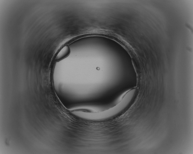 X0000091191222200709061007