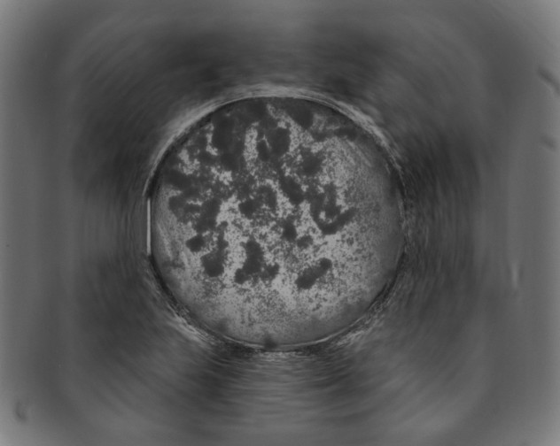 X0000091191223200709061007