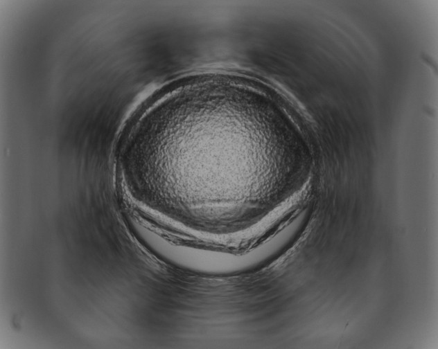 X0000091191224200709061007