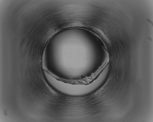 X0000091191225200709061007