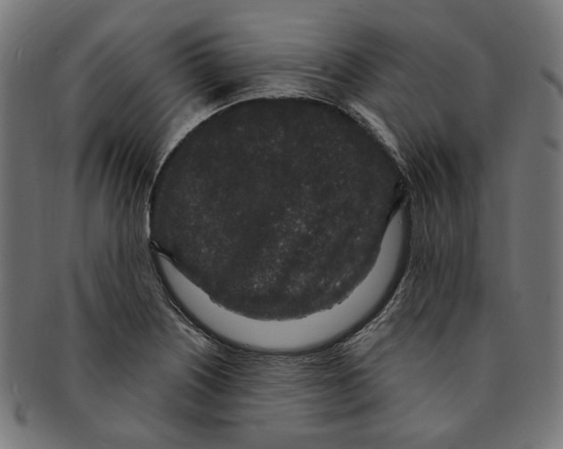 X0000091191226200709061007