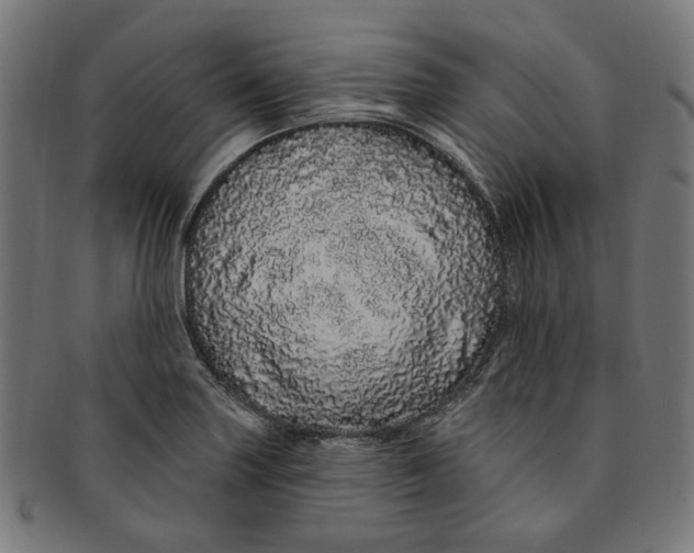 X0000091191227200709061007