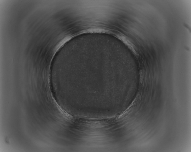 X0000091191229200709061007