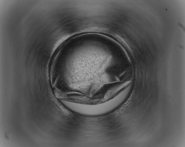 X0000091191230200709061007