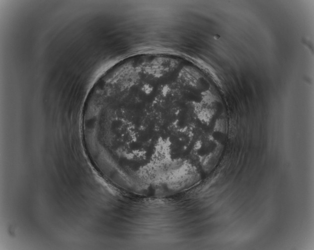 X0000091191231200709061007