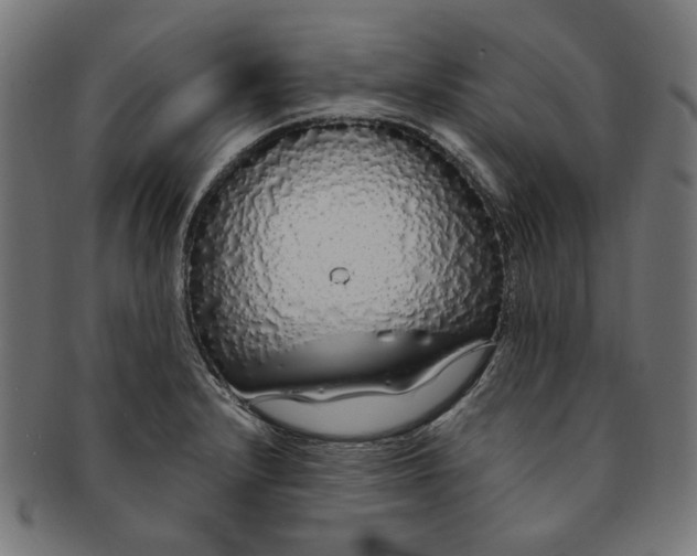 X0000091191232200709061007