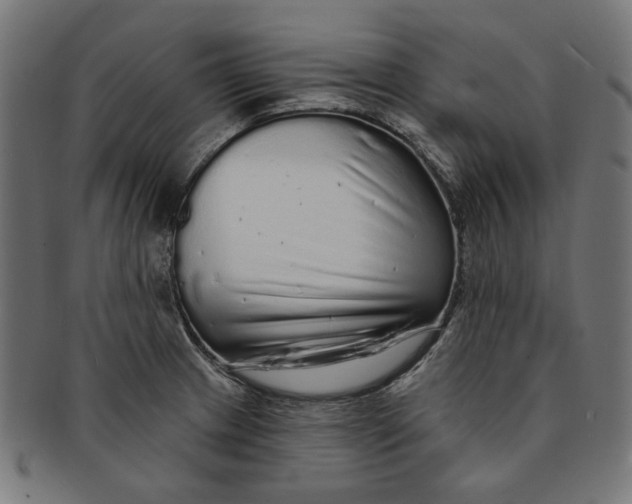 X0000091191233200709061007