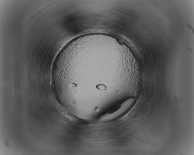 X0000091191236200709061007