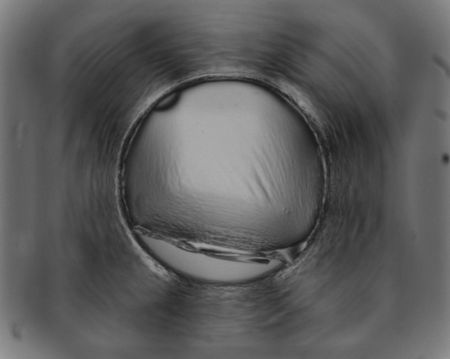 X0000091191237200709061007