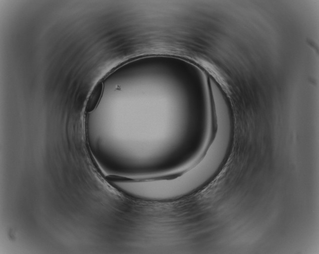 X0000091191238200709061007