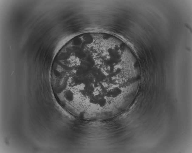 X0000091191239200709061007