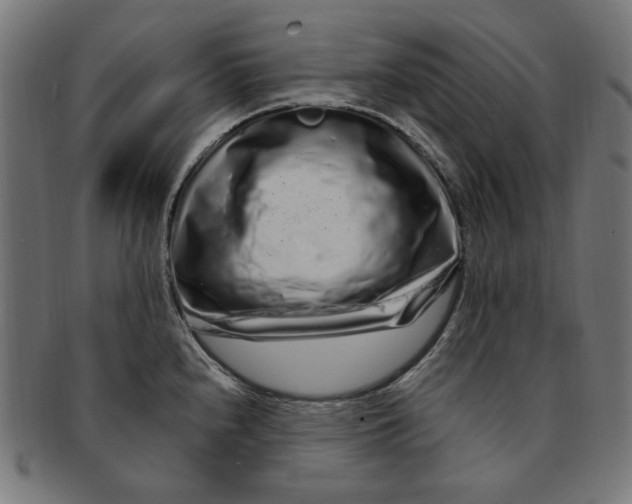 X0000091191240200709061007