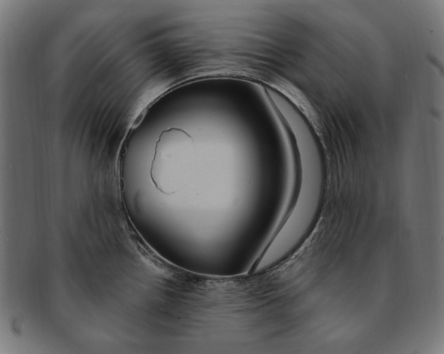 X0000091191242200709061007