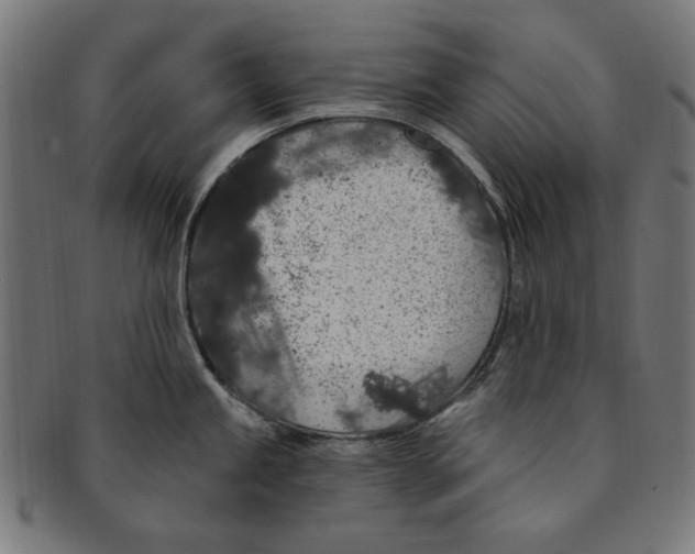 X0000091191245200709061007