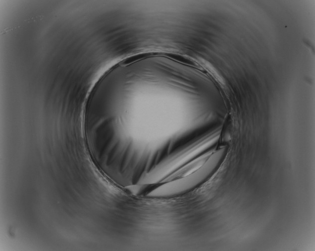 X0000091191246200709061007