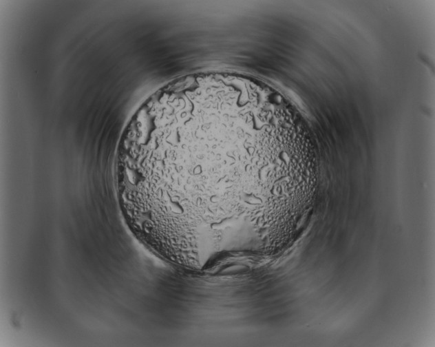 X0000091191247200709061007