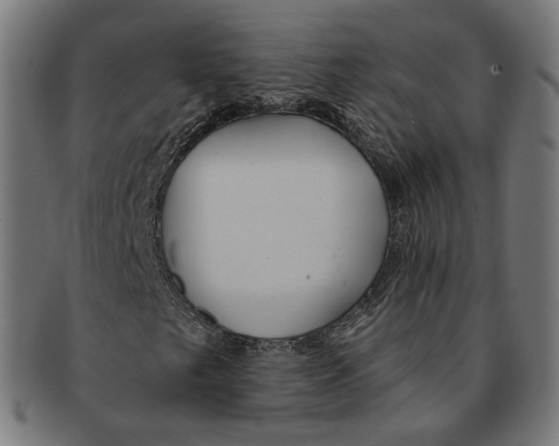 X0000091191249200709061006