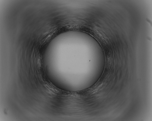 X0000091191250200709061006