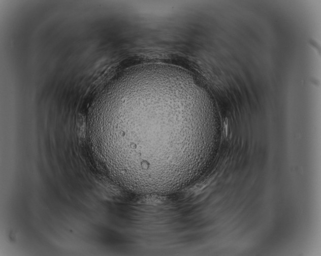 X0000091191251200709061006