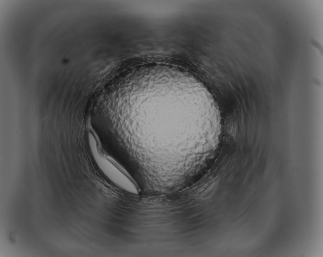 X0000091191252200709061006